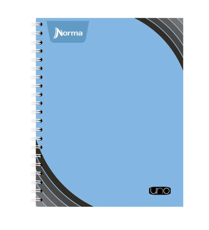 Cuaderno Profesional De Espiral Raya Norma 100 Hojas 8792